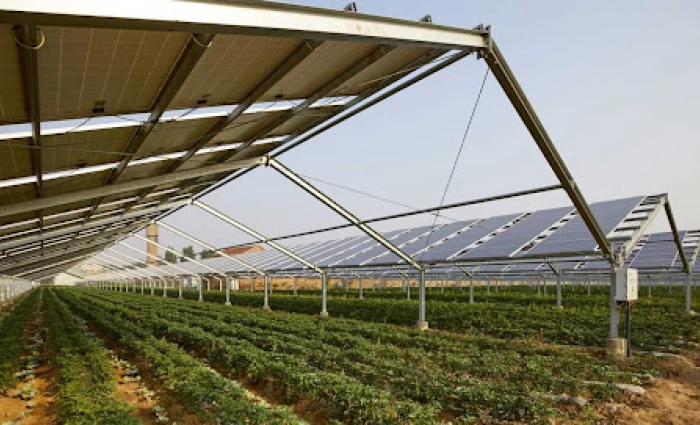 Δικαστήριο παγώνει φωτοβολταϊκό 3,7 MW στη Λευκωσία — Βλέπει κίνδυνο ανεπανόρθωτης περιβαλλοντικής ζημιάς